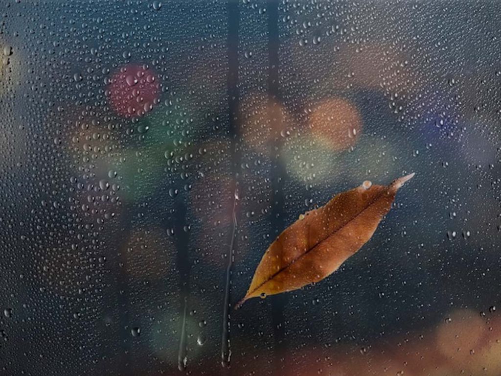 <strong>Rain in Mumbai – Tolerance & acceptability</strong>
